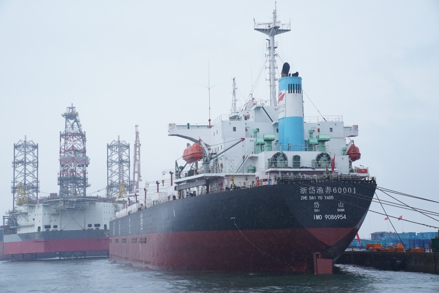 交付的8万吨级通海型养殖工船“森海先锋”号停泊在码头上。王继军摄