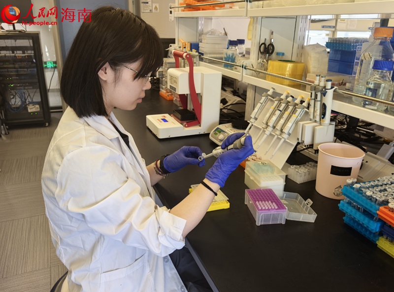 三亚崖州湾科技城，未米生物科研人员在做实验。人民网记者 毛雷摄