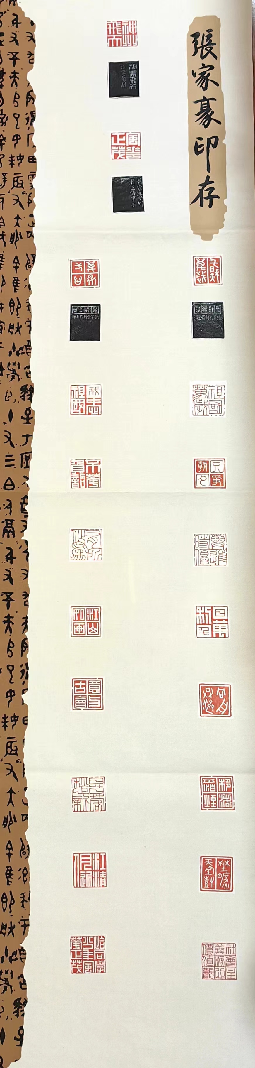 张家豪.jpg